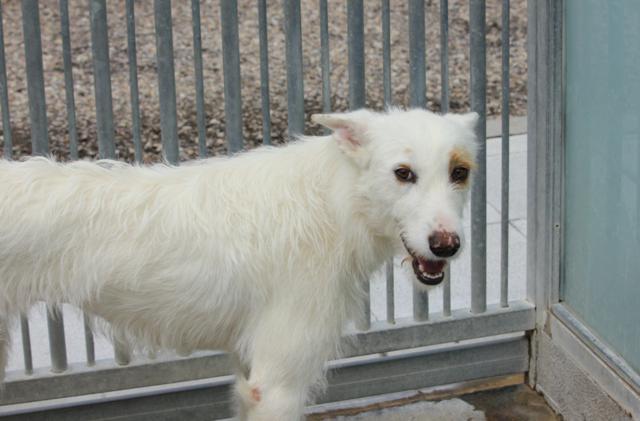 multimedia-foto36445-620-3