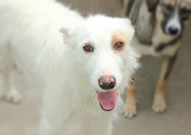 multimedia-foto36446-837-3