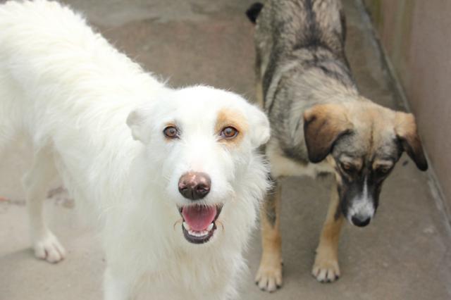 multimedia-foto36447-42-3