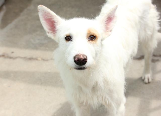 multimedia-foto36448-238-3