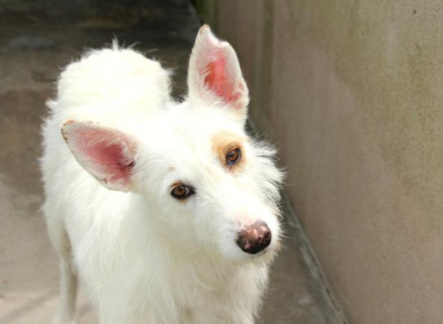 multimedia-foto36449-410-3