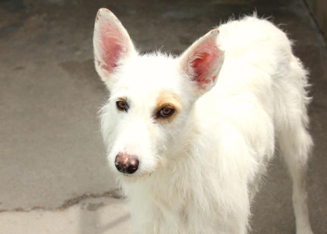 multimedia-foto36450-565-3