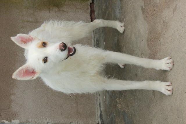 multimedia-foto36451-697-3