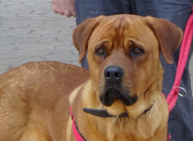 multimedia-foto36454-406-3