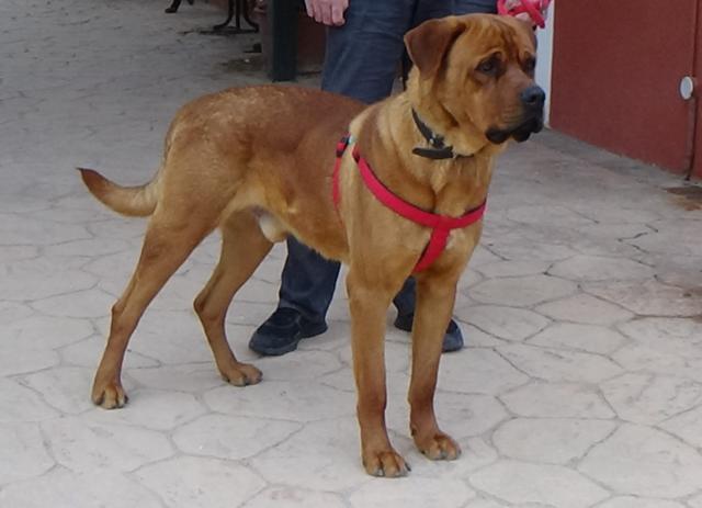 multimedia-foto36455-629-3