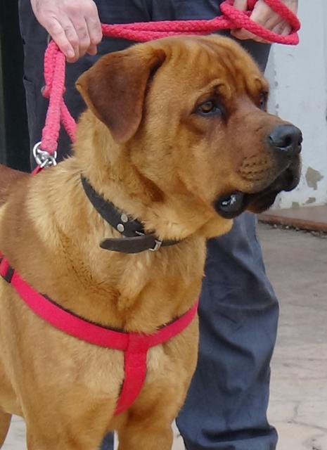 multimedia-foto36456-846-3