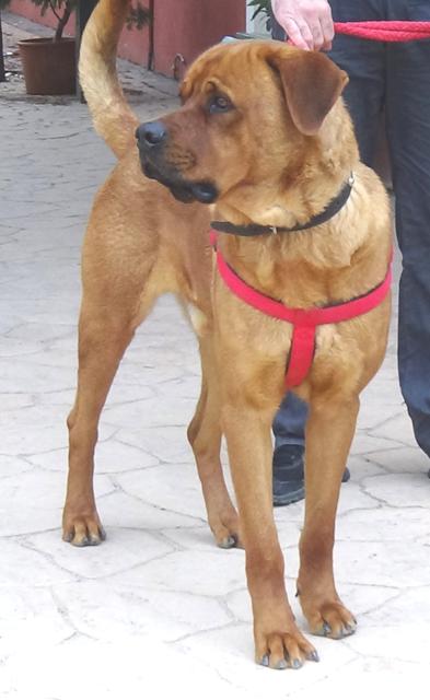 multimedia-foto36457-50-3