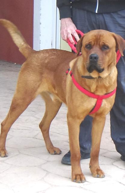 multimedia-foto36459-418-3