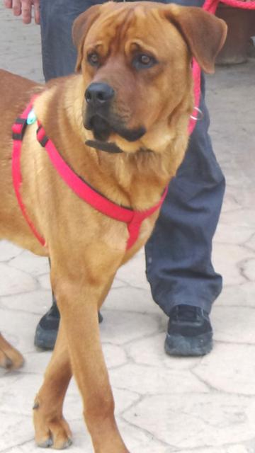 multimedia-foto36460-572-3