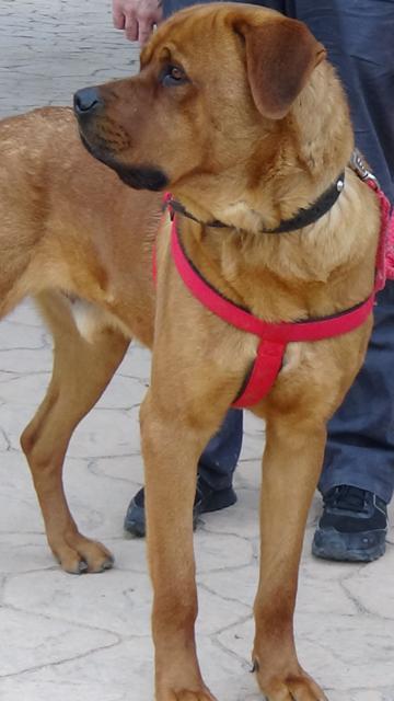 multimedia-foto36461-703-3