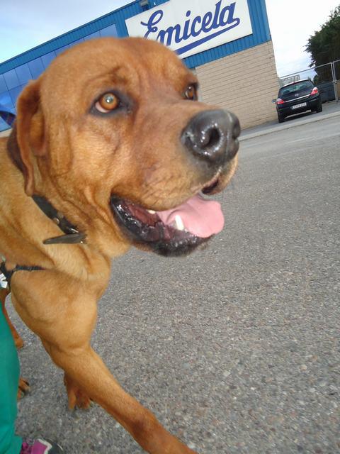 multimedia-foto36464-940-3