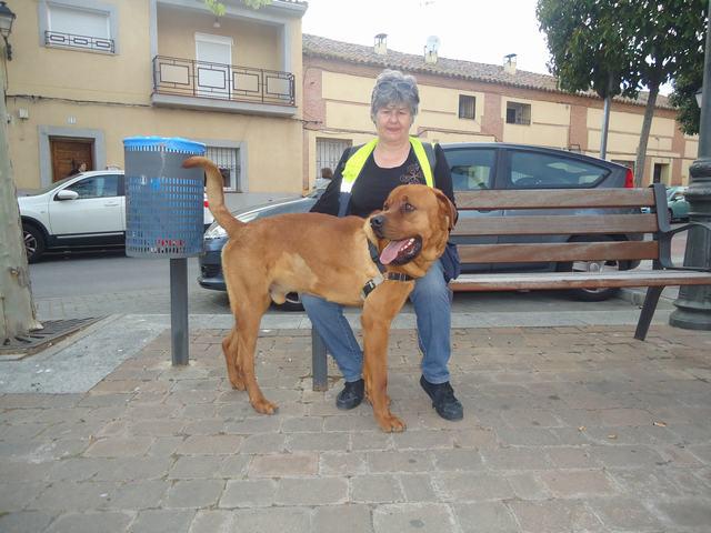 multimedia-foto36465-982-3