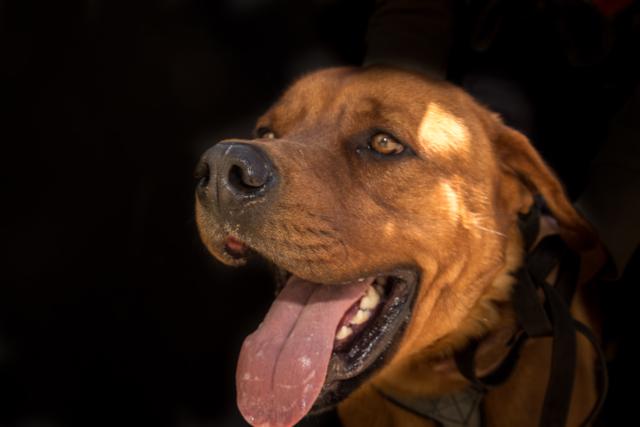 multimedia-foto36466-18-3