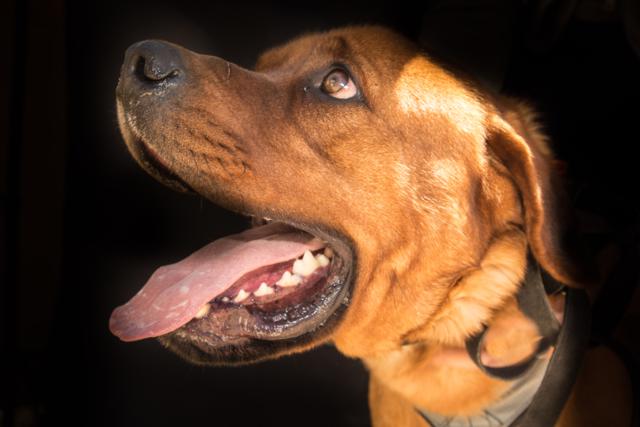 multimedia-foto36467-50-3