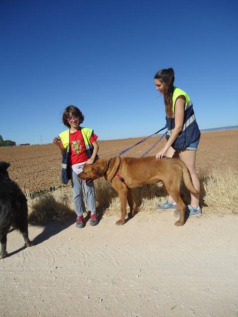 multimedia-foto36469-99-3