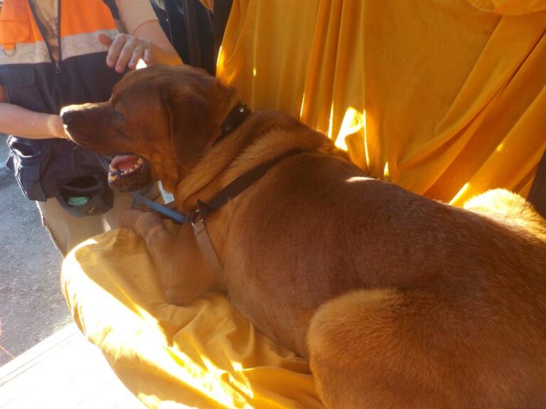 multimedia-foto36470-116-3