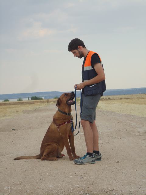 multimedia-foto36471-131-3