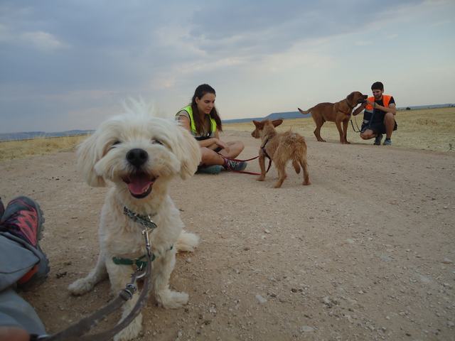 multimedia-foto36472-138-3