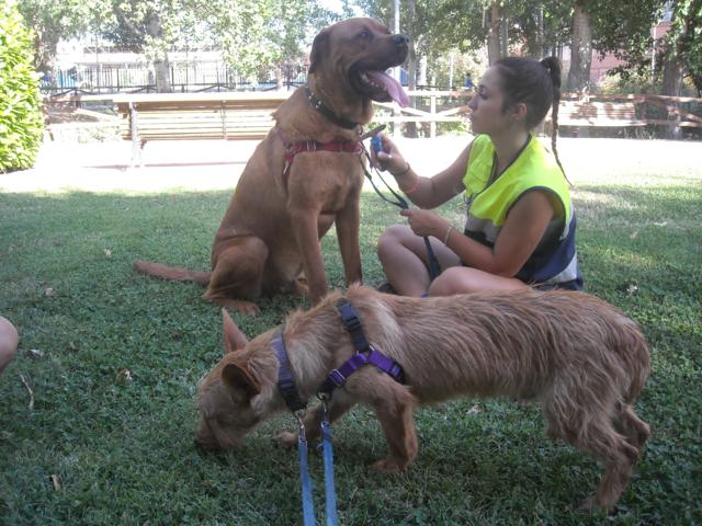 multimedia-foto36473-142-3