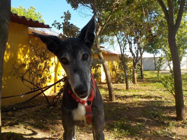 multimedia-foto36484-823-3