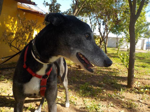 multimedia-foto36485-896-3