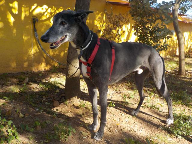 multimedia-foto36486-943-3