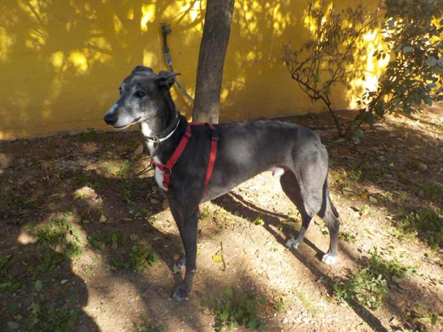 multimedia-foto36487-986-3