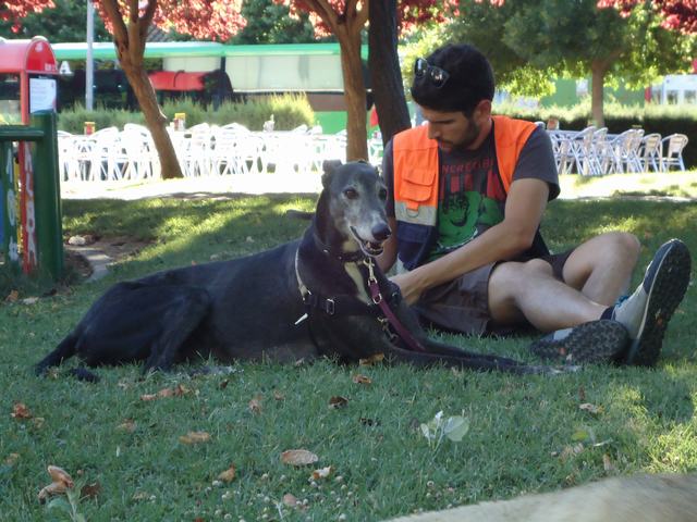 multimedia-foto36490-78-3