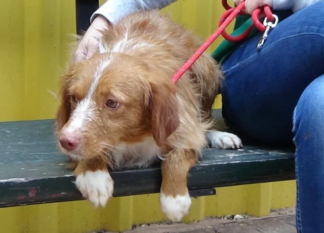 multimedia-foto36508-447-3