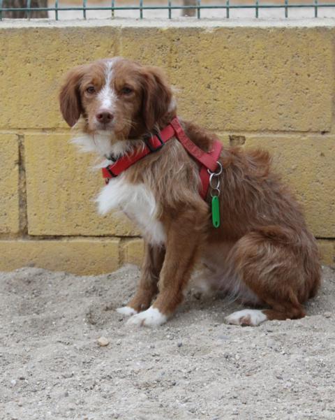 multimedia-foto36510-885-3