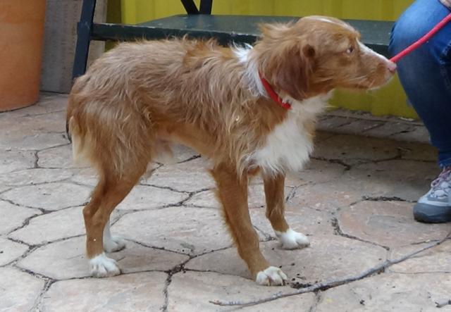 multimedia-foto36511-86-3