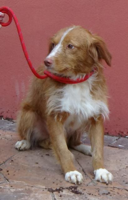 multimedia-foto36512-279-3