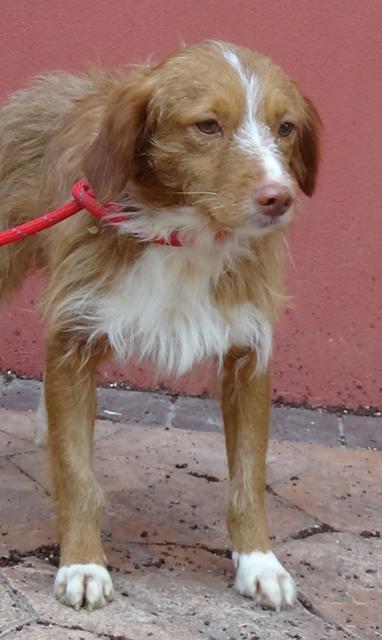 multimedia-foto36513-448-3