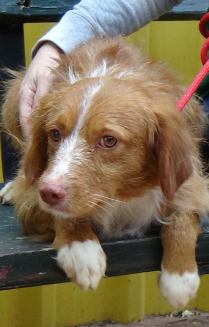 multimedia-foto36514-599-3