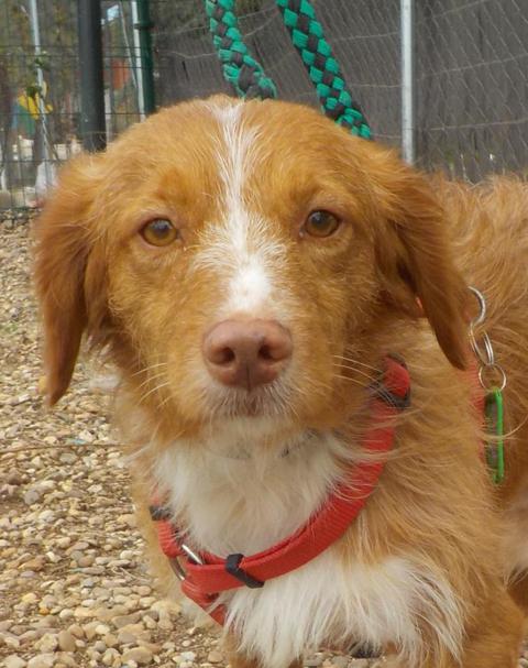 multimedia-foto36515-726-3