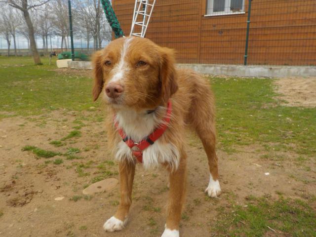 multimedia-foto36516-834-3