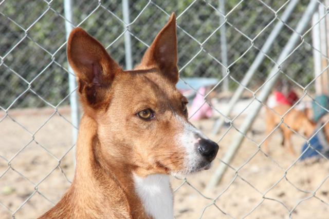 multimedia-foto36518-456-3