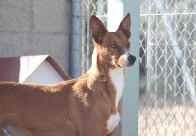 multimedia-foto36519-679-3