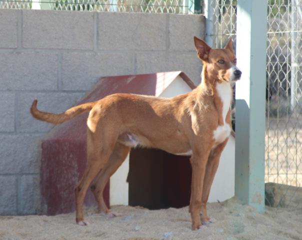 multimedia-foto36520-894-3