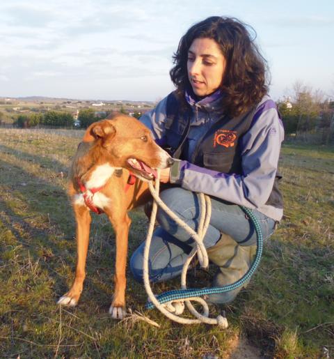 multimedia-foto36523-453-3