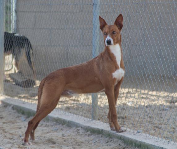 multimedia-foto36524-604-3