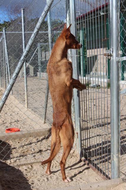 multimedia-foto36525-730-3