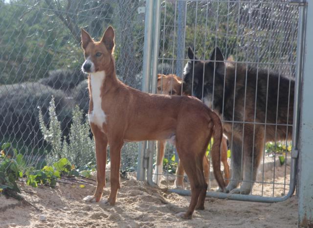 multimedia-foto36526-838-3