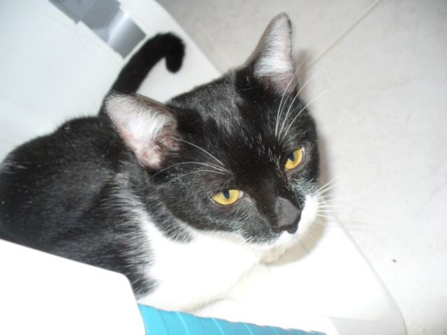 multimedia-foto36532-104-3