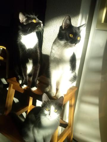 multimedia-foto36537-841-3