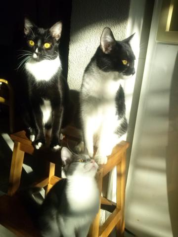 multimedia-foto36538-905-3