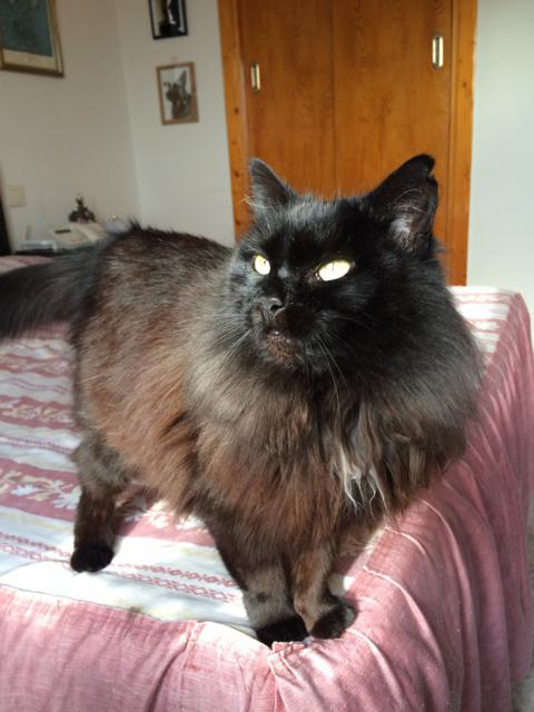 multimedia-foto36542-912-3