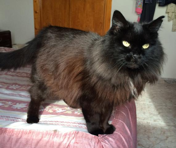 multimedia-foto36543-112-3