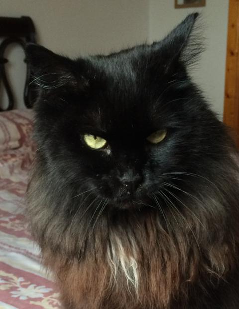 multimedia-foto36544-300-3