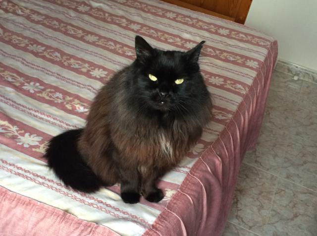 multimedia-foto36545-469-3